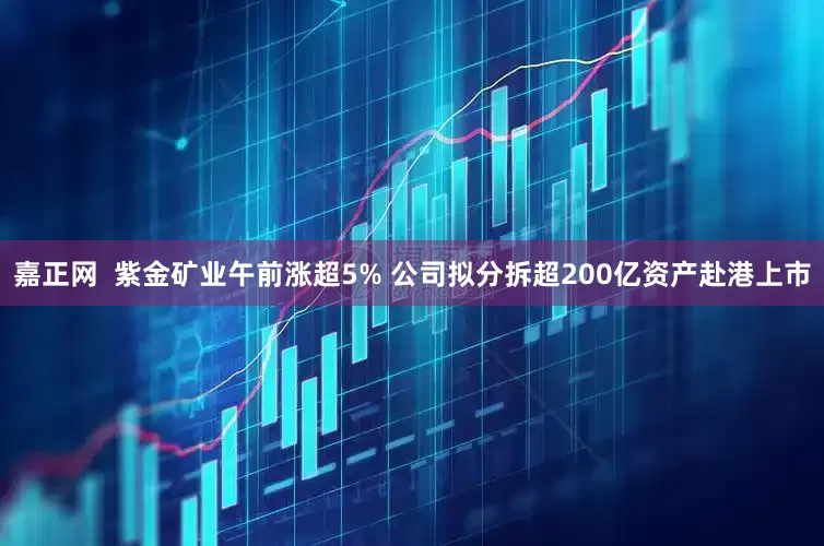 嘉正网  紫金矿业午前涨超5% 公司拟分拆超200亿资产赴港上市