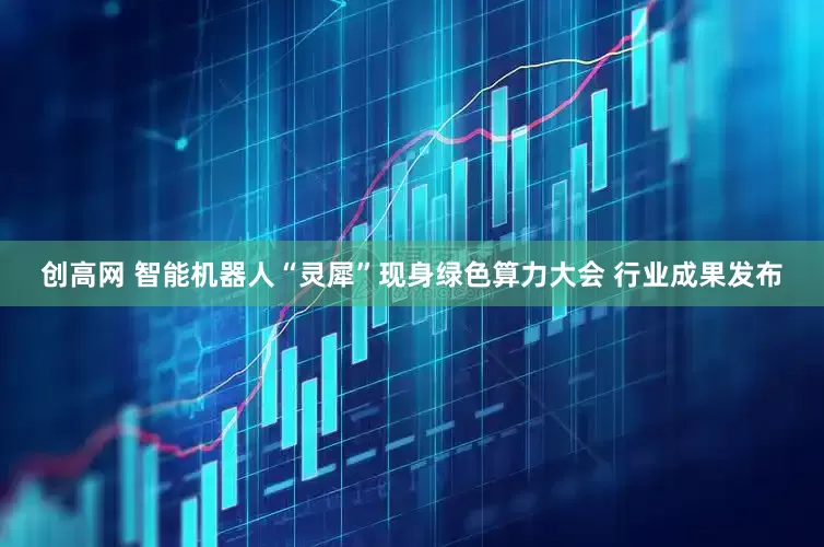 创高网 智能机器人“灵犀”现身绿色算力大会 行业成果发布