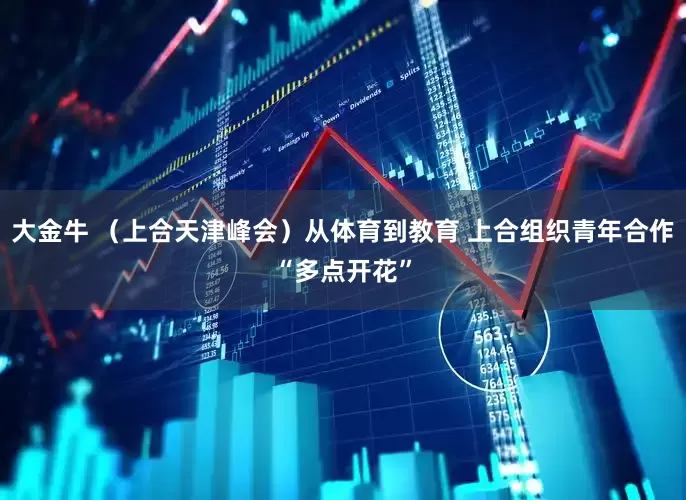 大金牛 （上合天津峰会）从体育到教育 上合组织青年合作“多点开花”