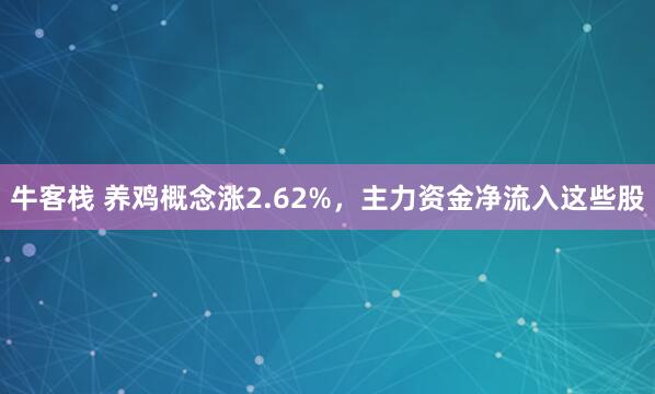 牛客栈 养鸡概念涨2.62%，主力资金净流入这些股