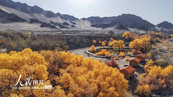 元富投资 胡杨峡景区秋景如画