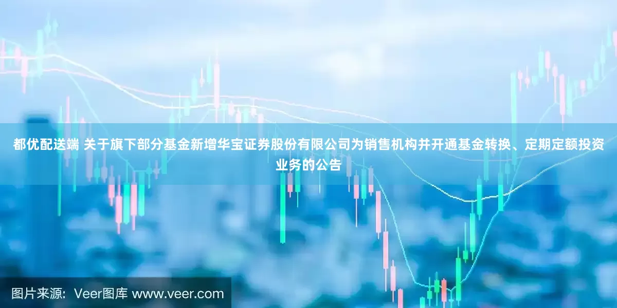 都优配送端 关于旗下部分基金新增华宝证券股份有限公司为销售机构并开通基金转换、定期定额投资业务的公告